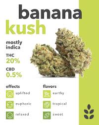 O G banana kush