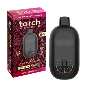 Torch Pebble Live Resin Disposable | 6g